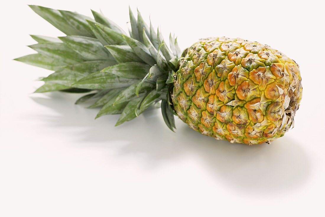 A pineapple