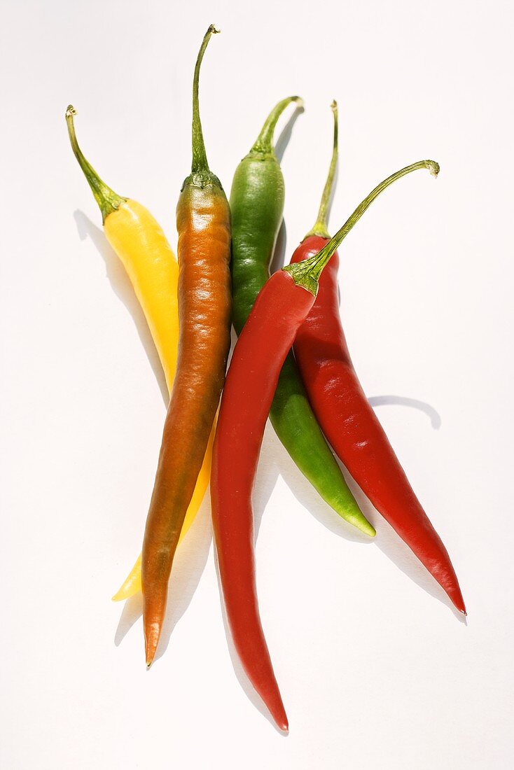 Colourful selection of chili peppers