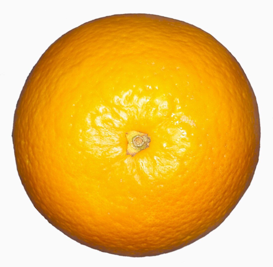 An orange
