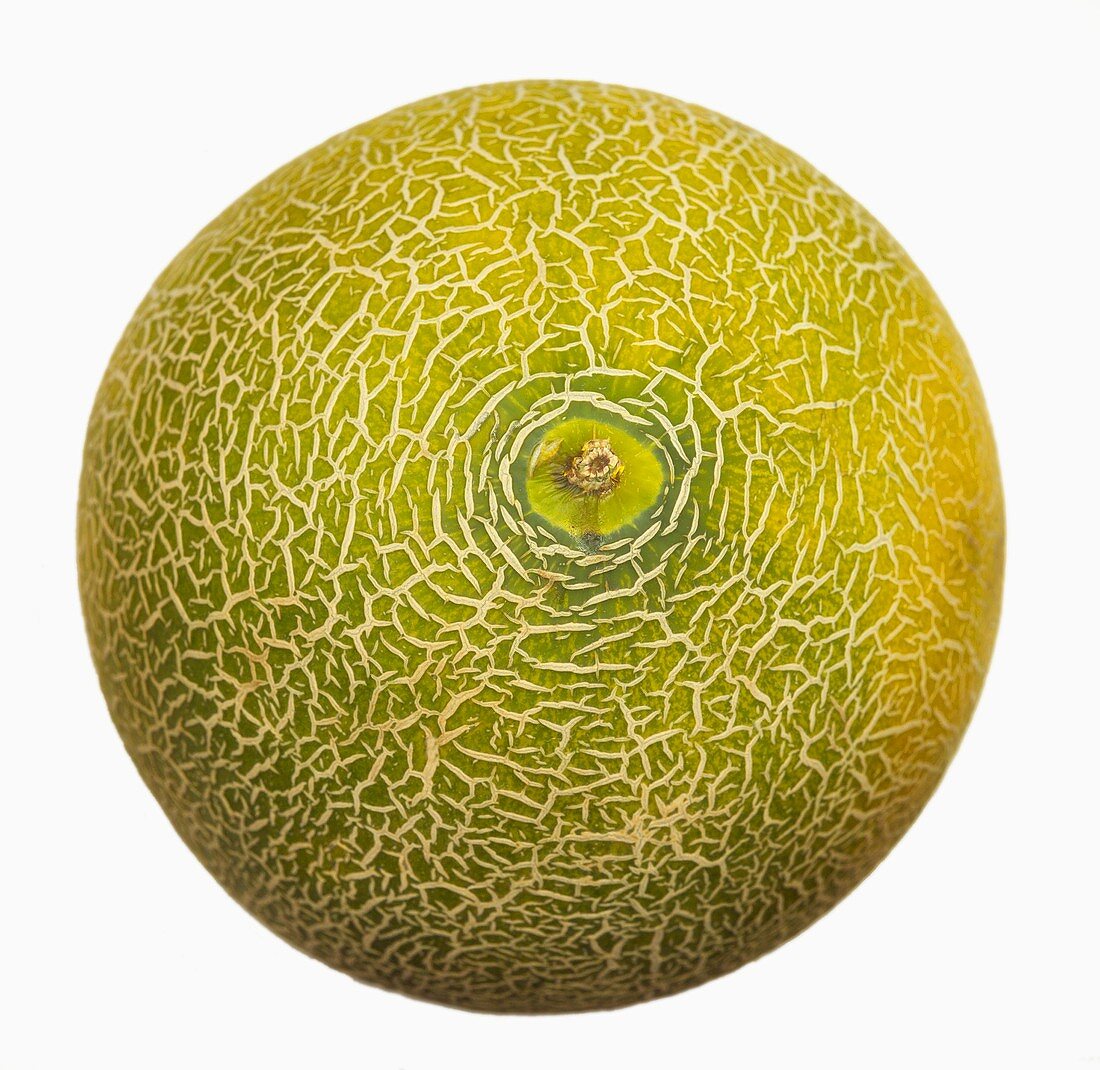Eine Galia-Melone