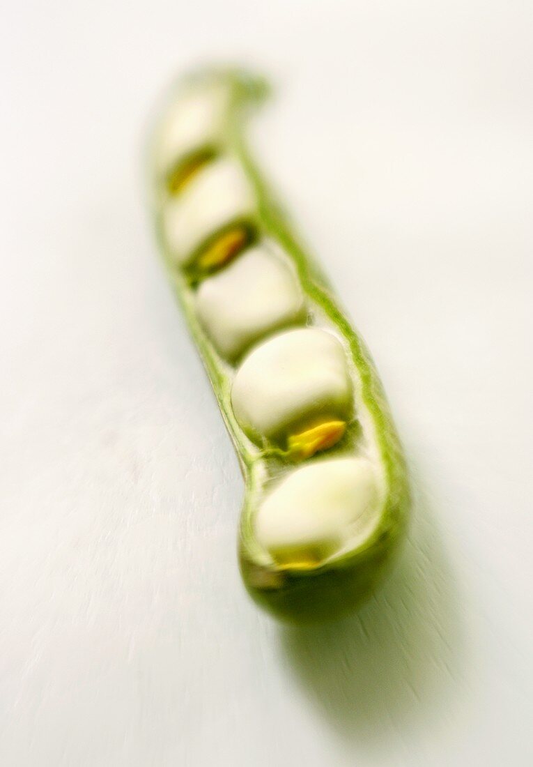 Broad beans in the pod