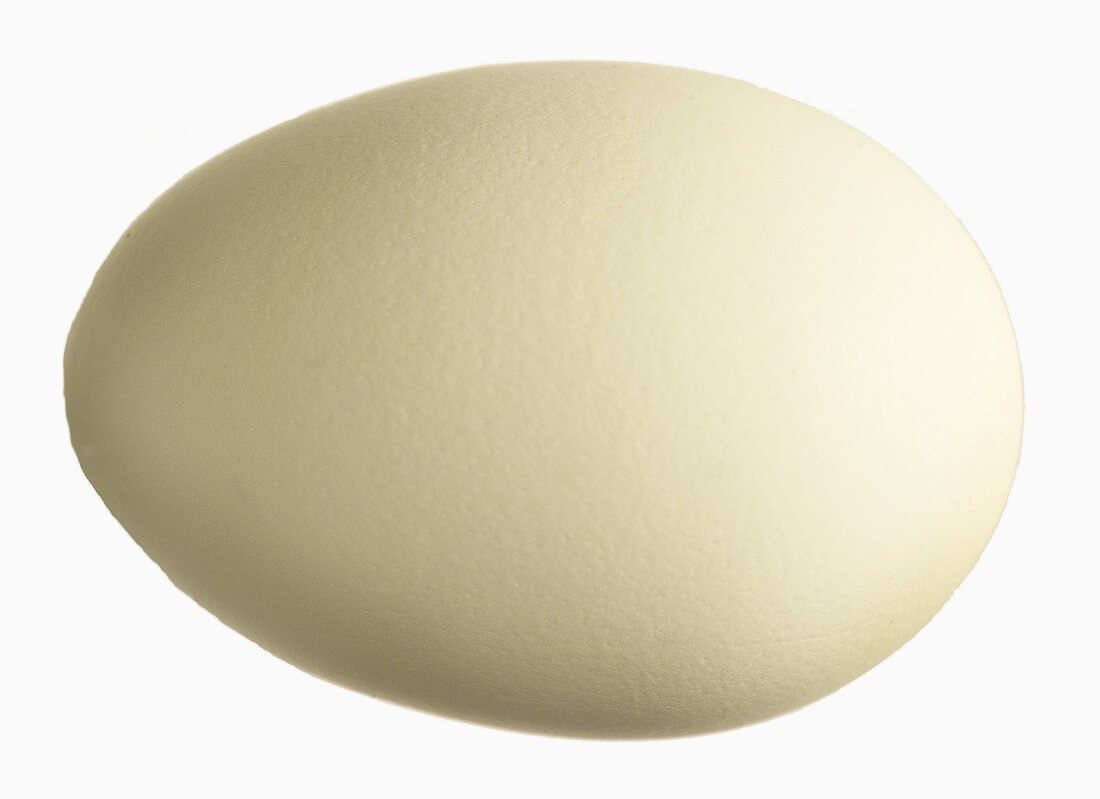 A white egg