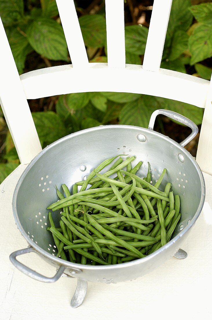 Green beans in colander on a chair