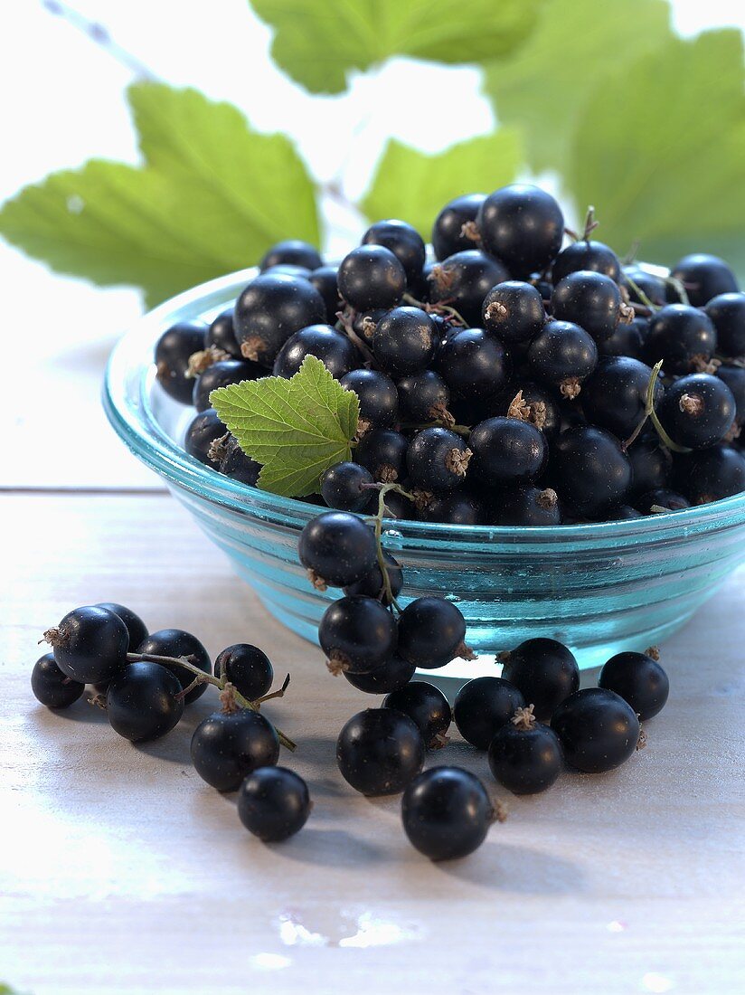Blackcurrants in and in front of small glass bowl
