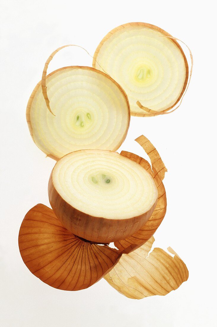Onion with slices cut