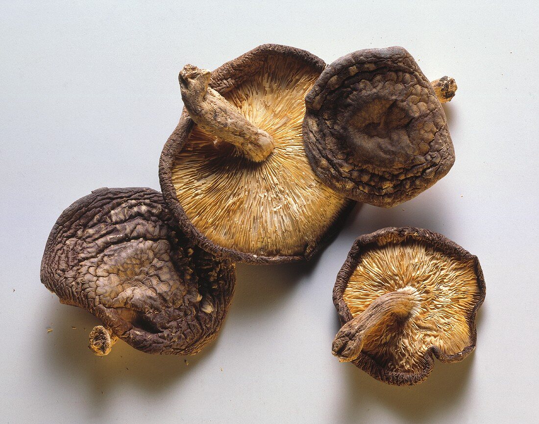 Getrocknete Shiitake