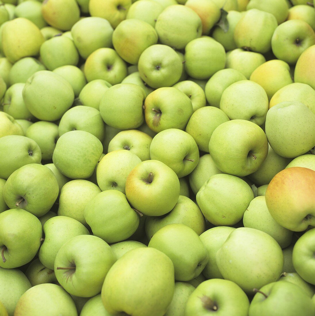 Viele grüne Äpfel (bildfüllend)