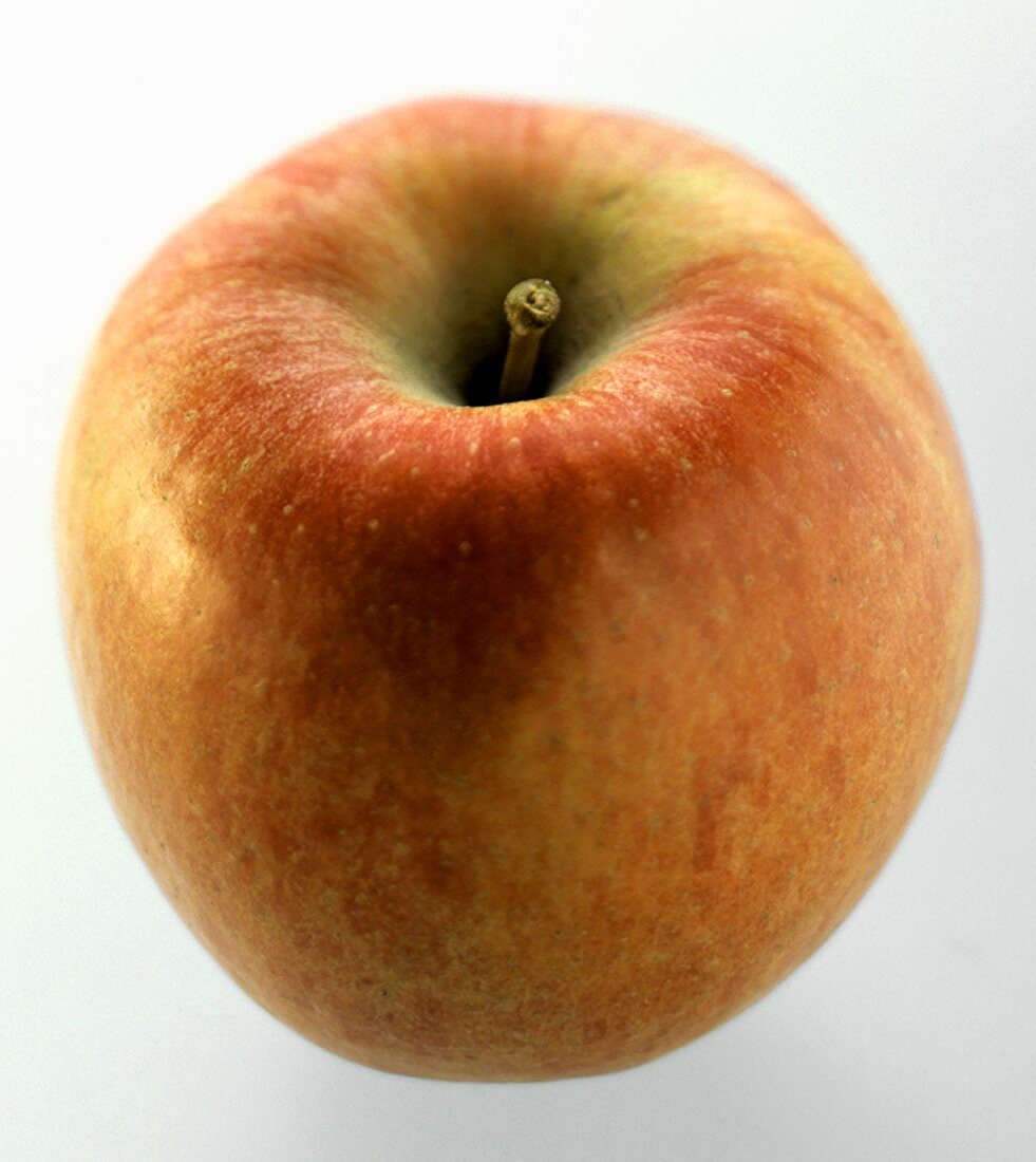A Braeburn Apple
