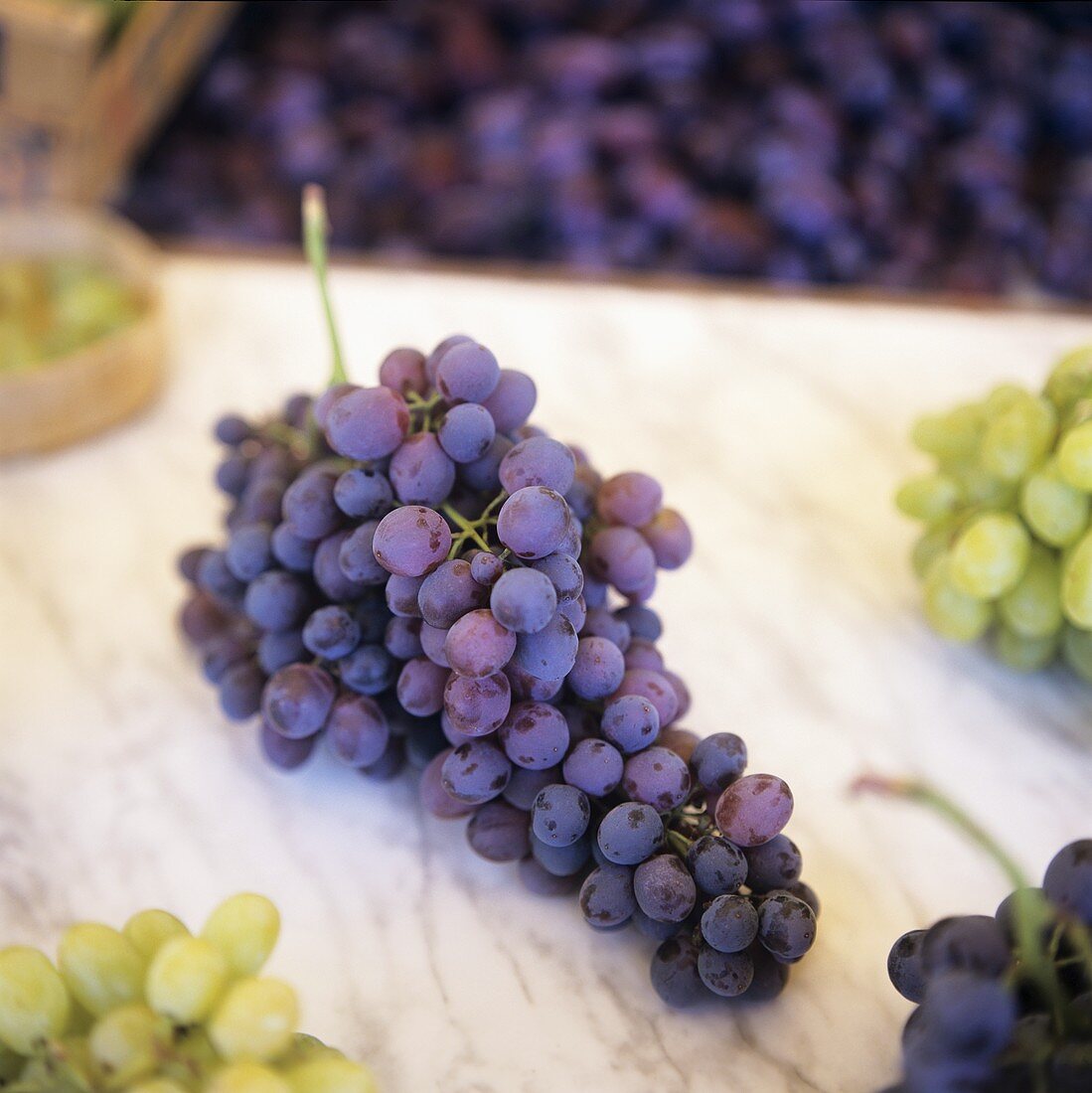 A Bunch of Red Grapes