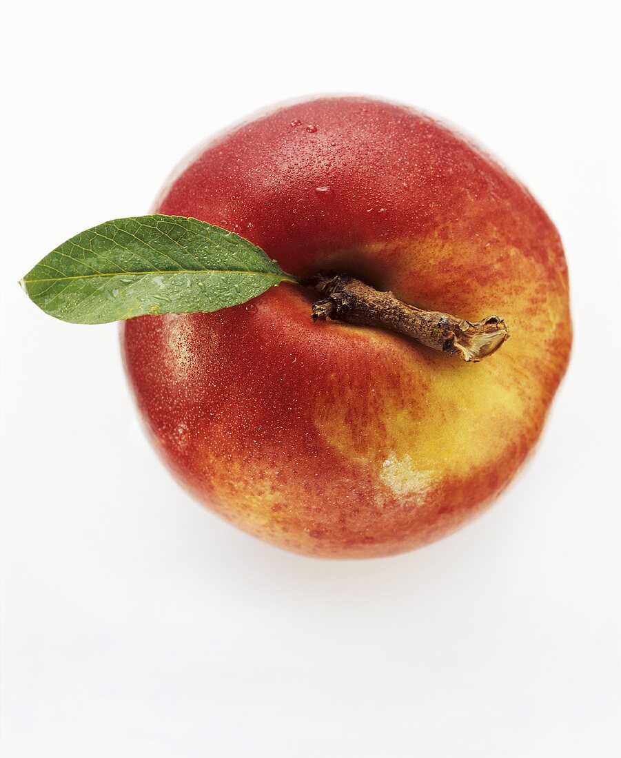 A Nectarine with Leaf from Overhead