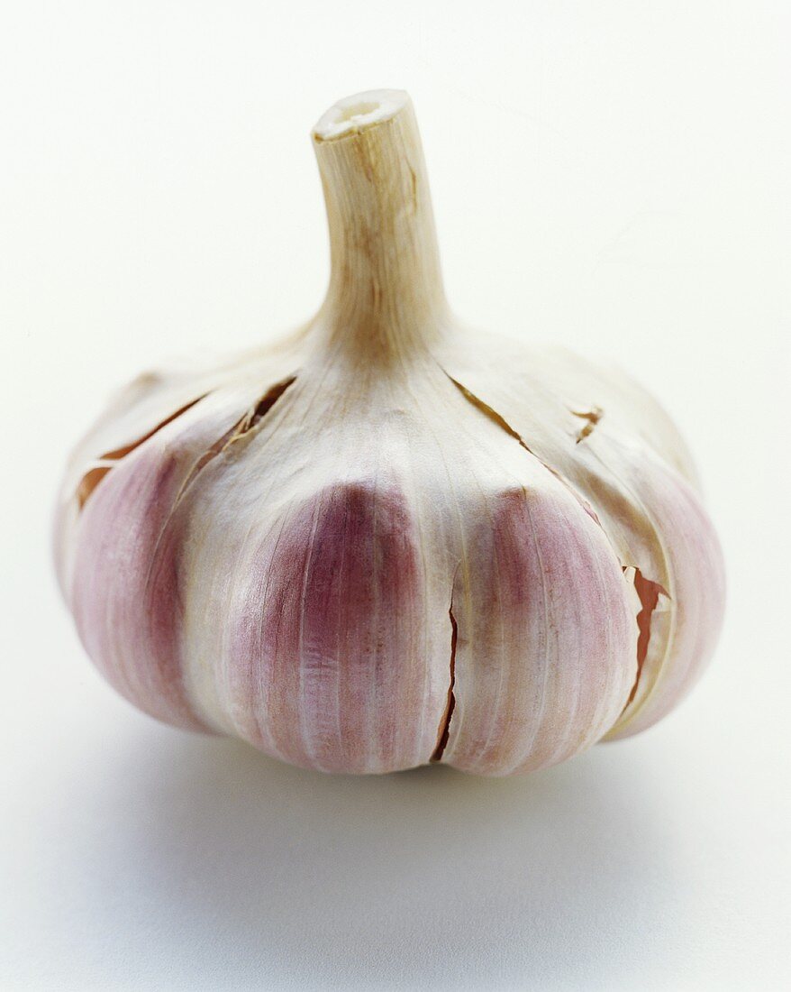 A Garlic Bulb