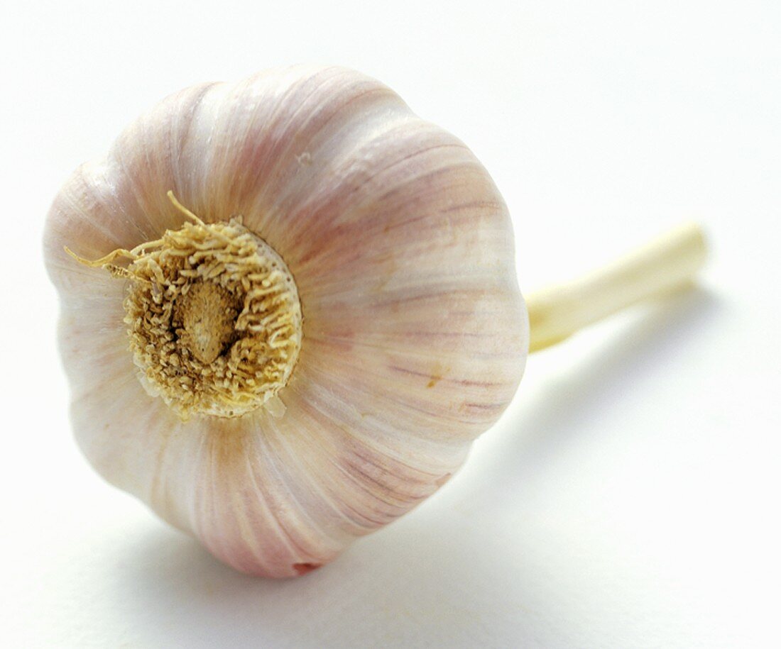 A Garlic Bulb