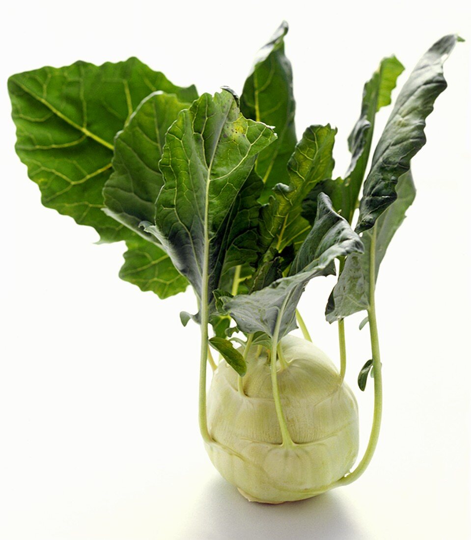 Kohlrabi