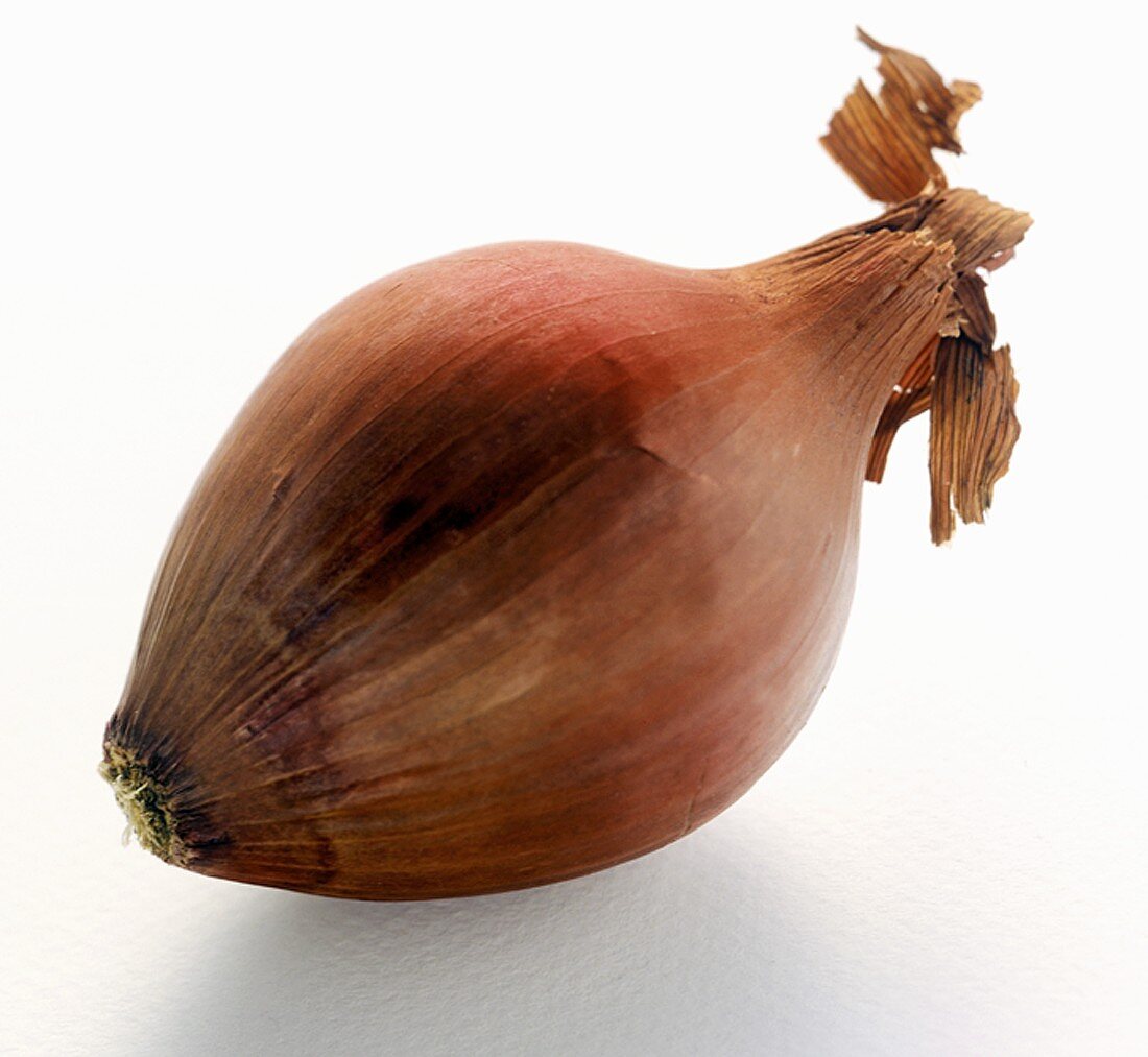 A Red Onion