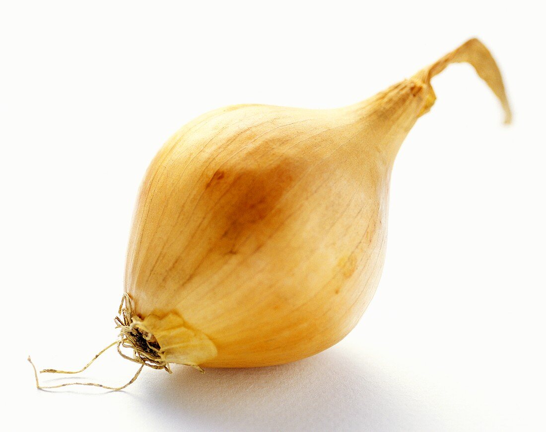 A Yellow Onion