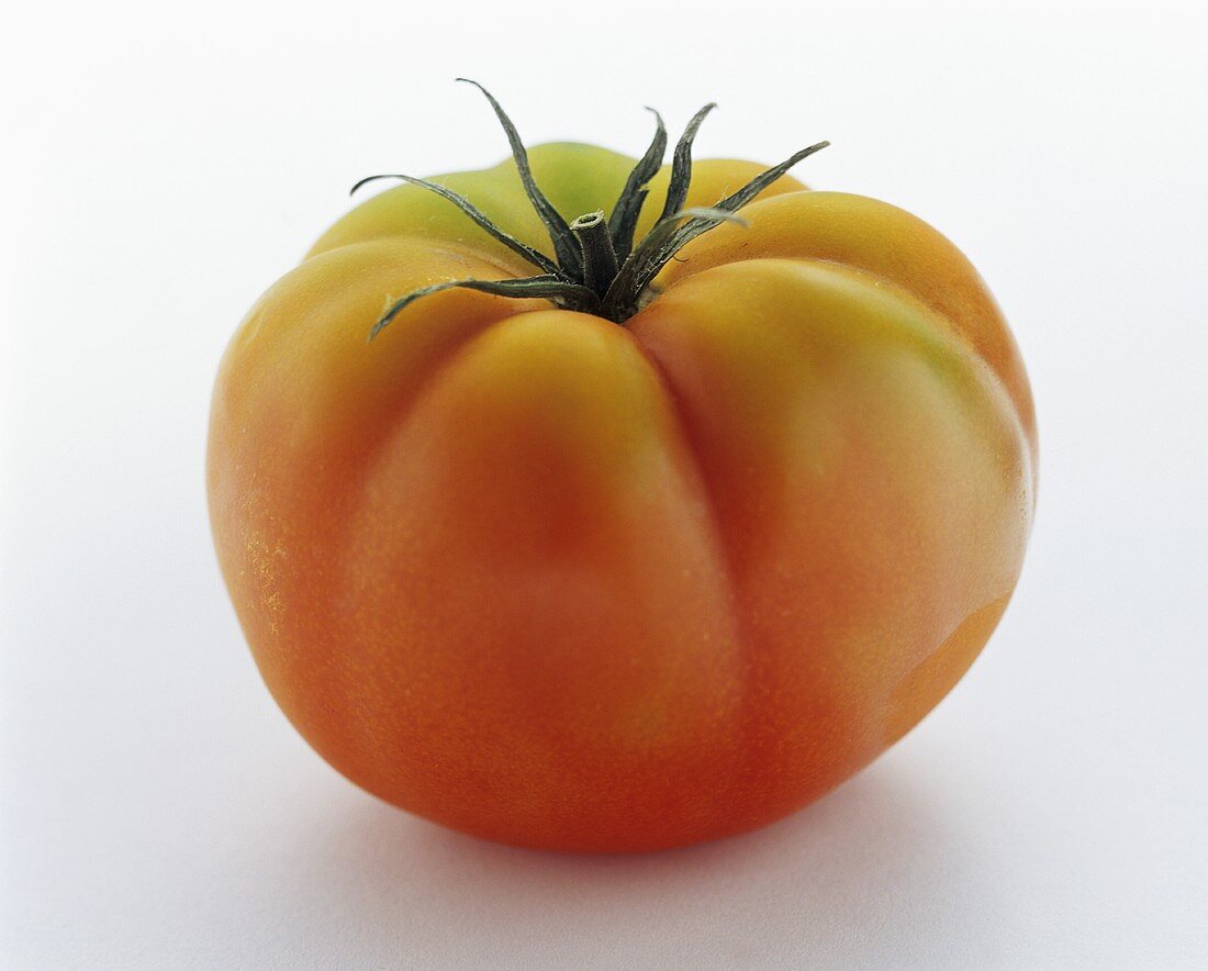 Fleischtomate