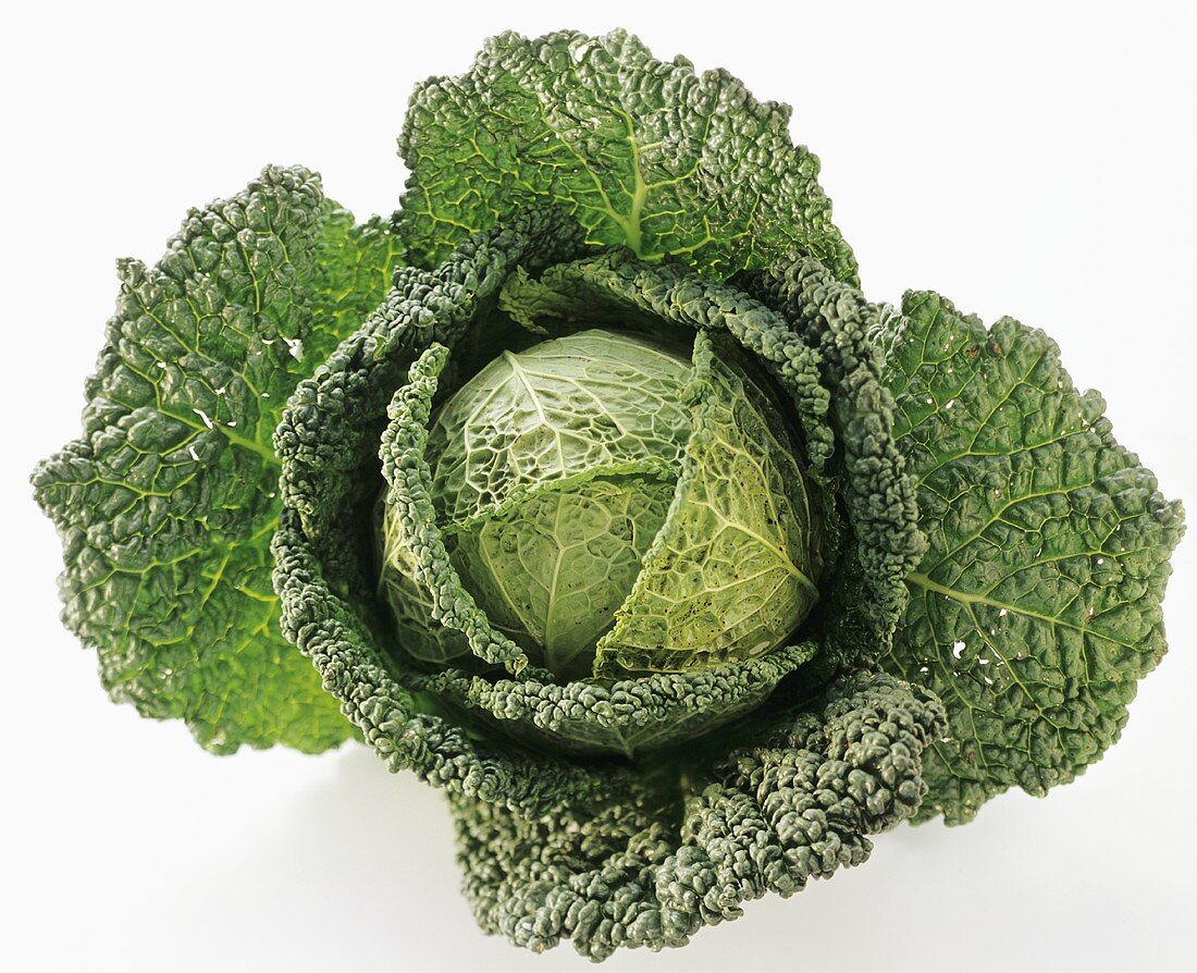 Savoy Cabbage