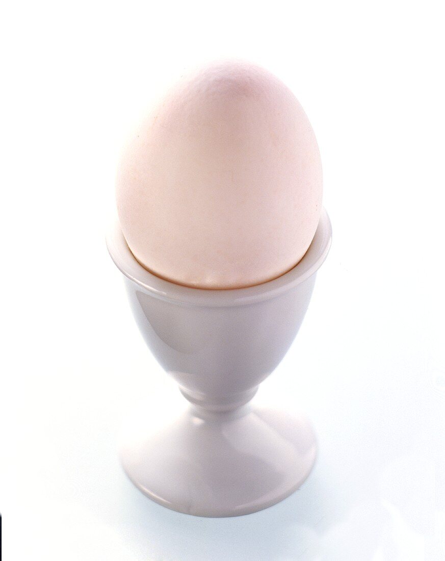 A White Egg in an Egg Cup