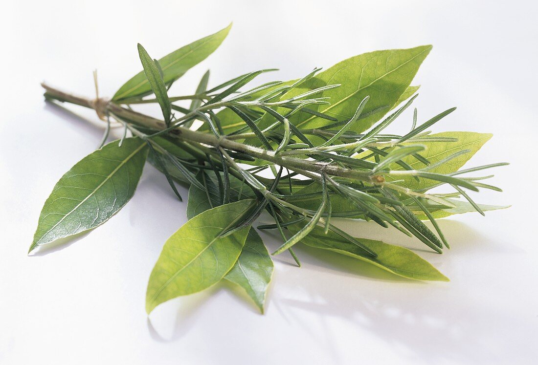 Fresh Rosemary and Bay Leaves