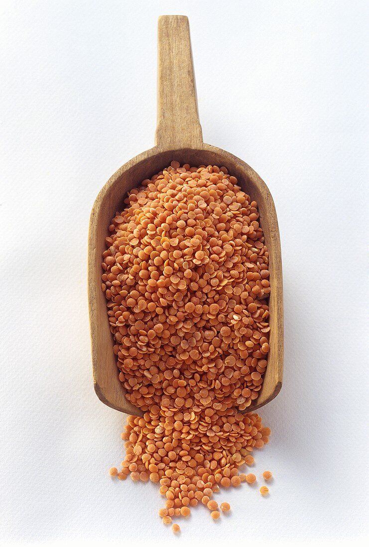Indian Brown Lentils on a Wooden Scoop