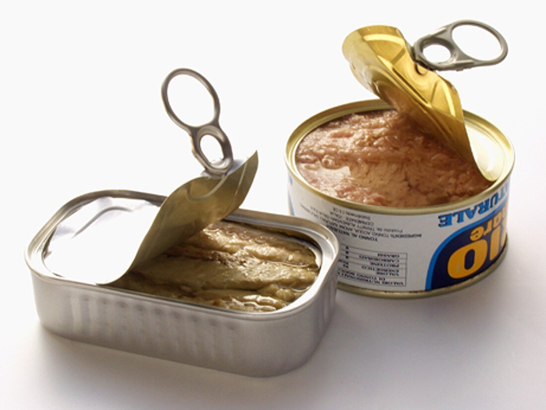 A Can of Tuna and a Can of Sardines