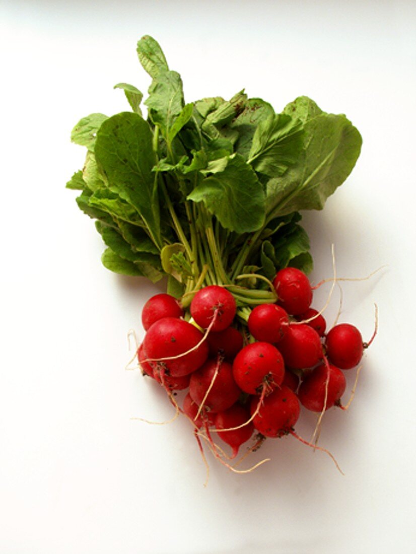 A Bunch of Red Radishes