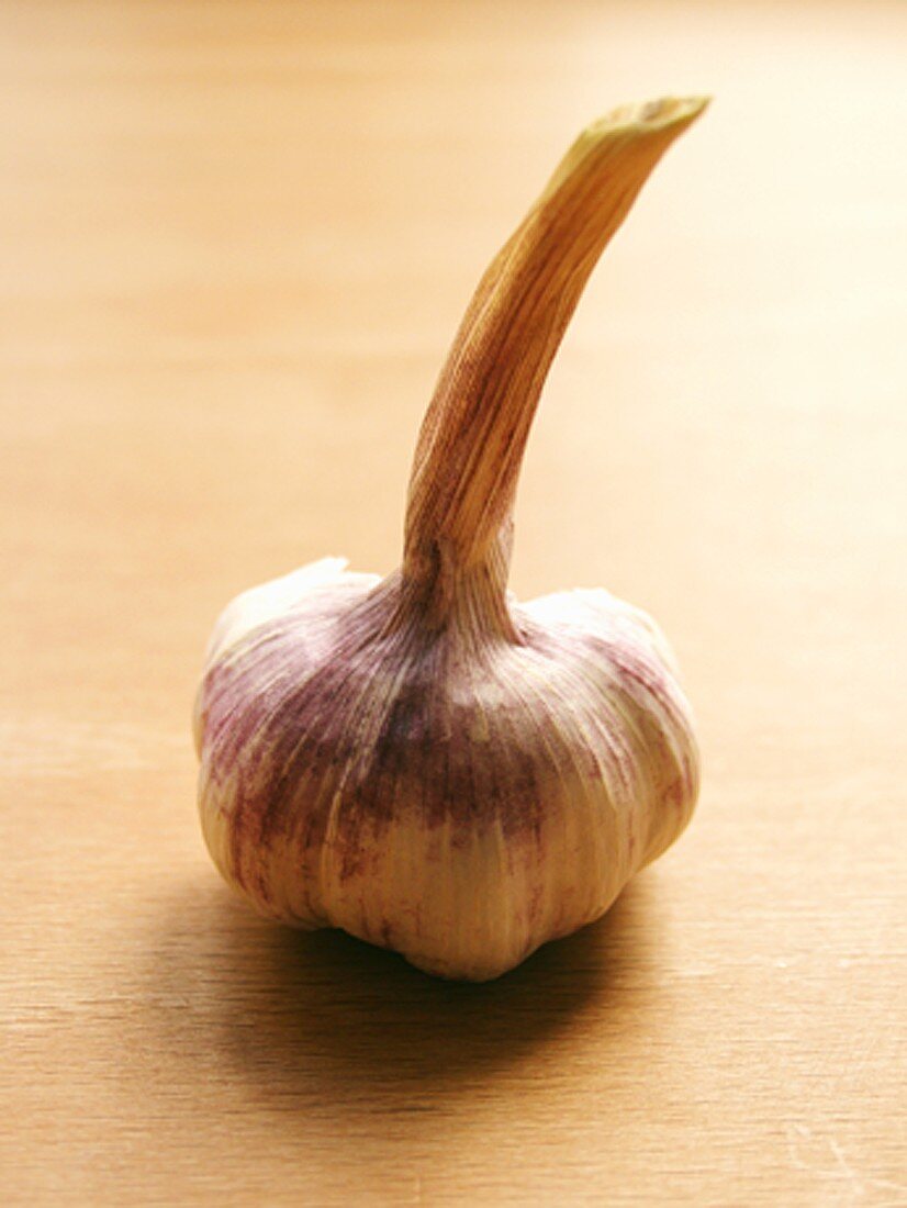 A Bulb of Garlic