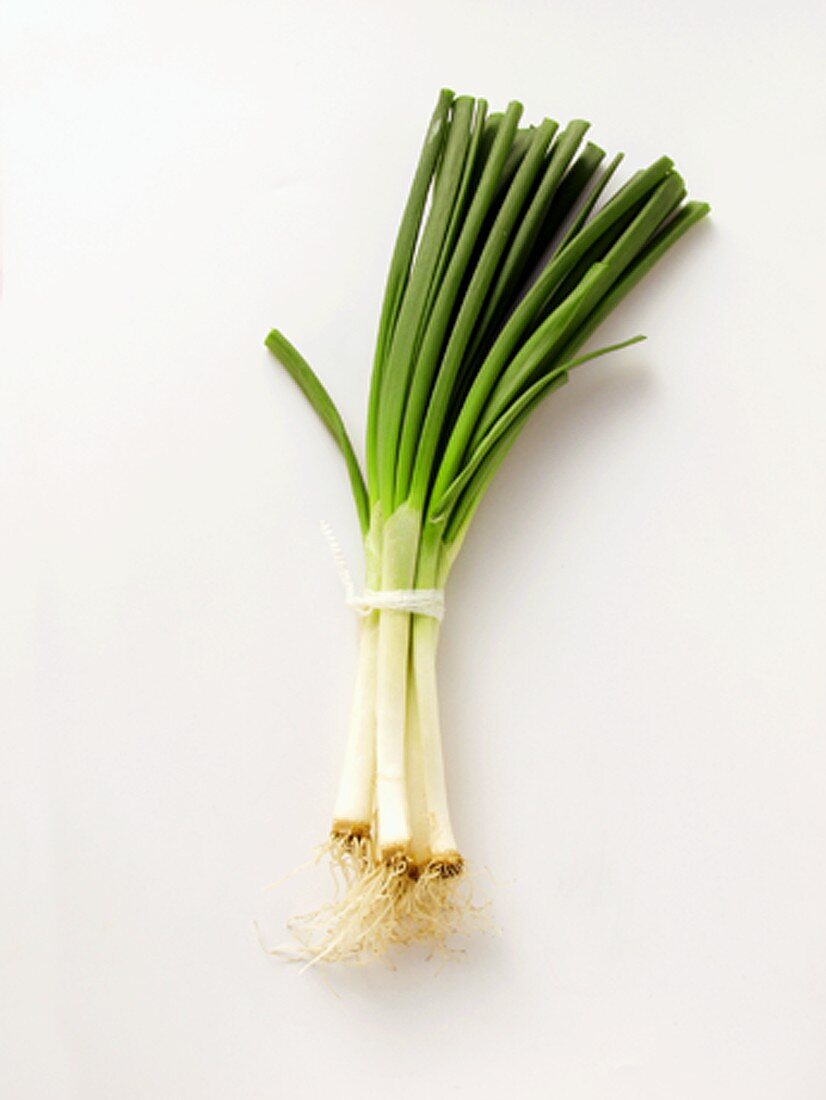 A Bunch of Green Onions