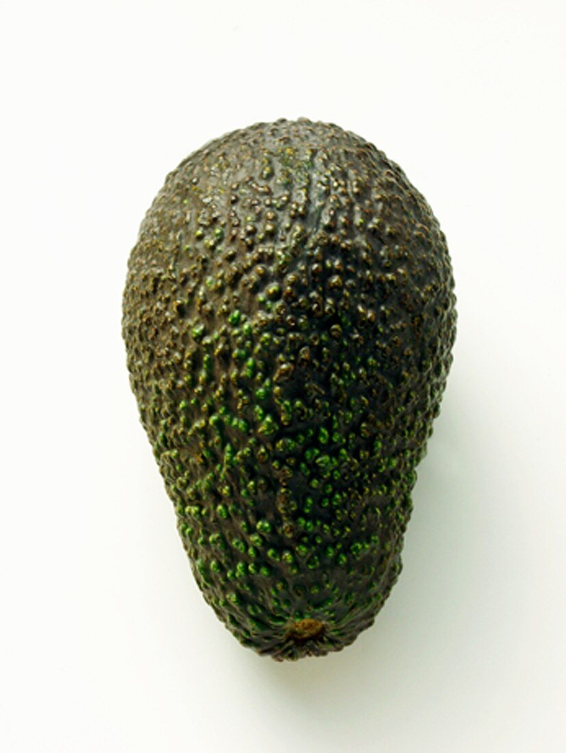 An Avocado