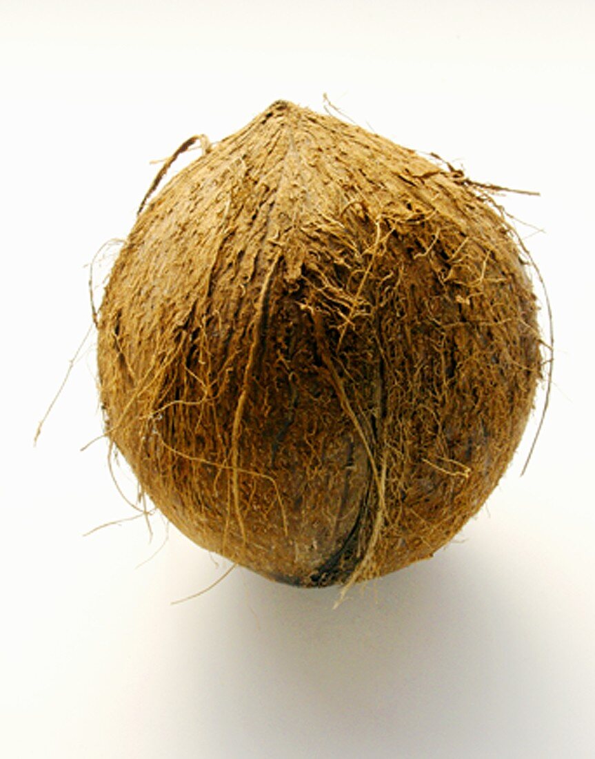 A Coconut