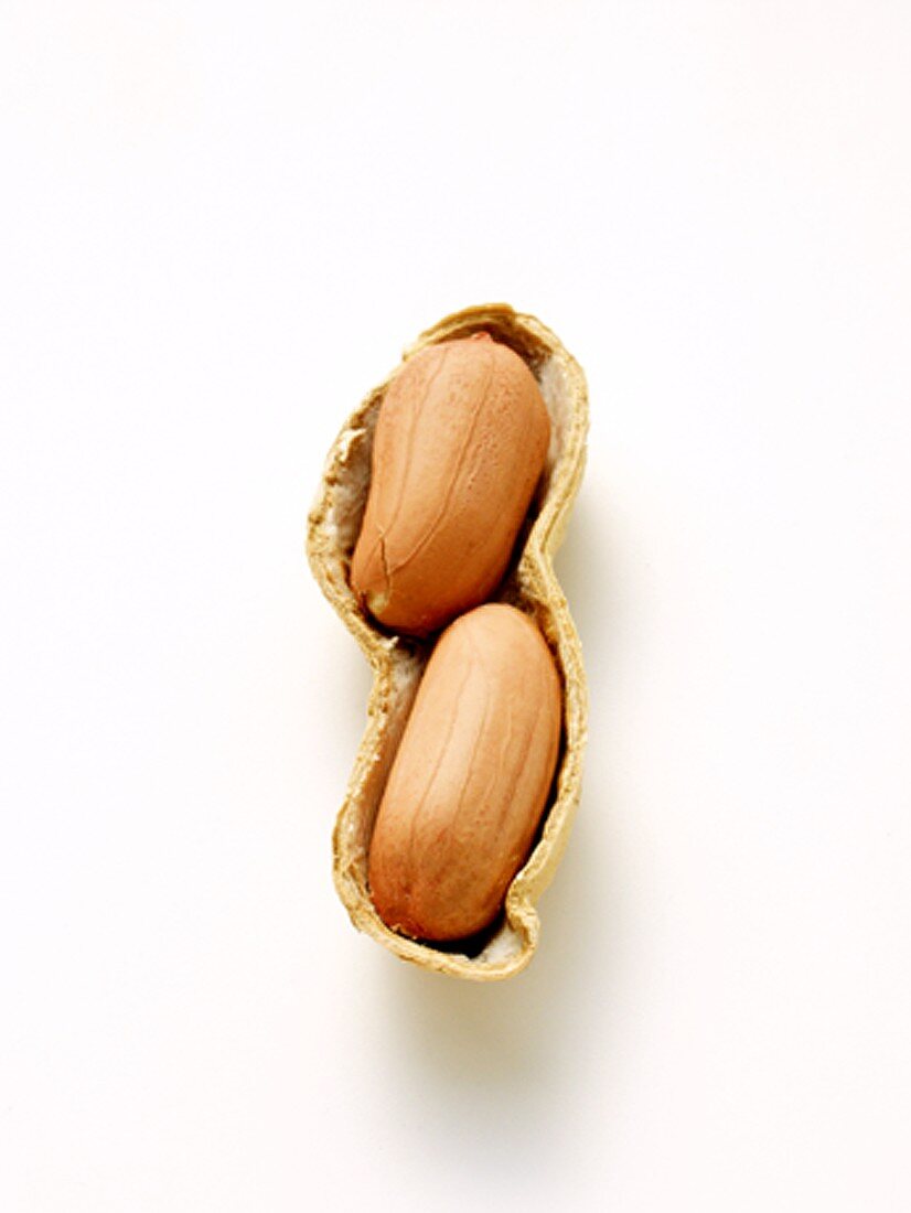 A Peanut with the Shell Opened