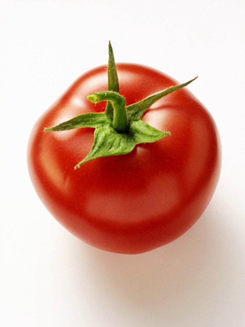 Frische Tomate