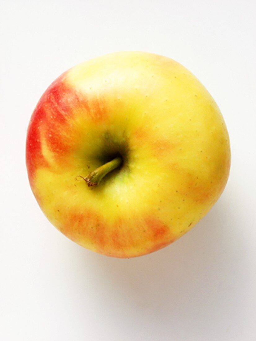 A Cortland Apple