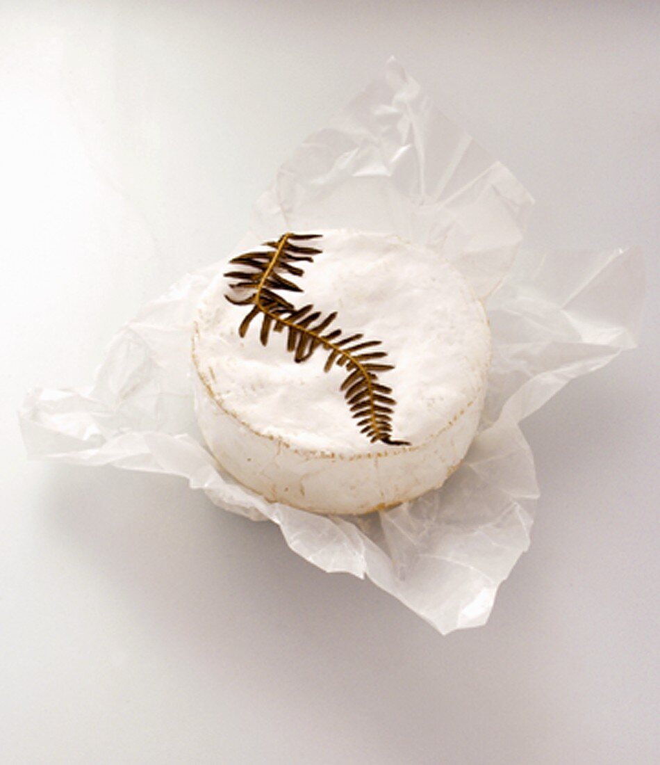 Camembert on Paper Wrapping