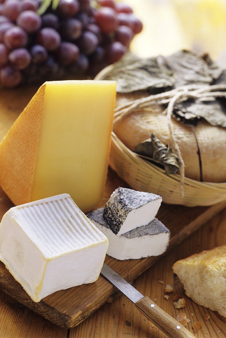 Assorted Cheese on a Cutting Board