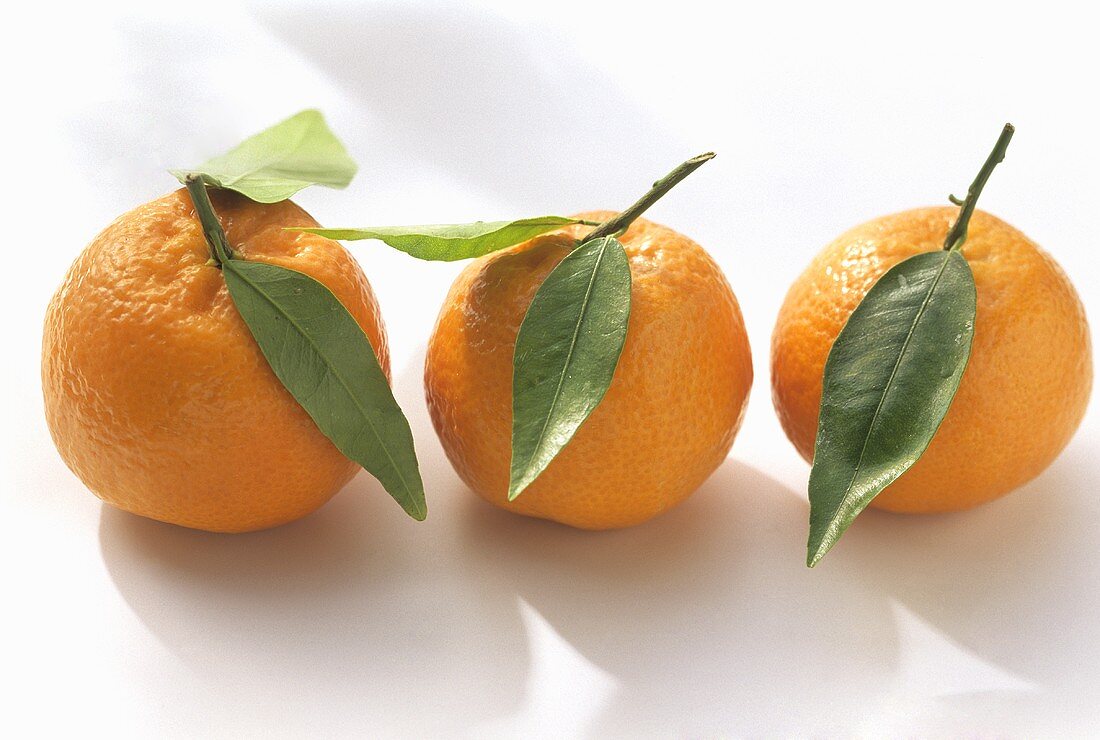 Three Oranges with Leaves