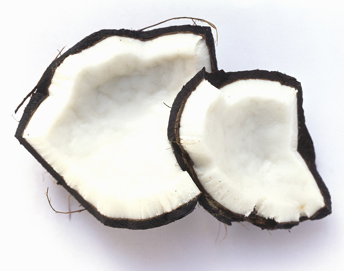 Two Pieces of Coconut