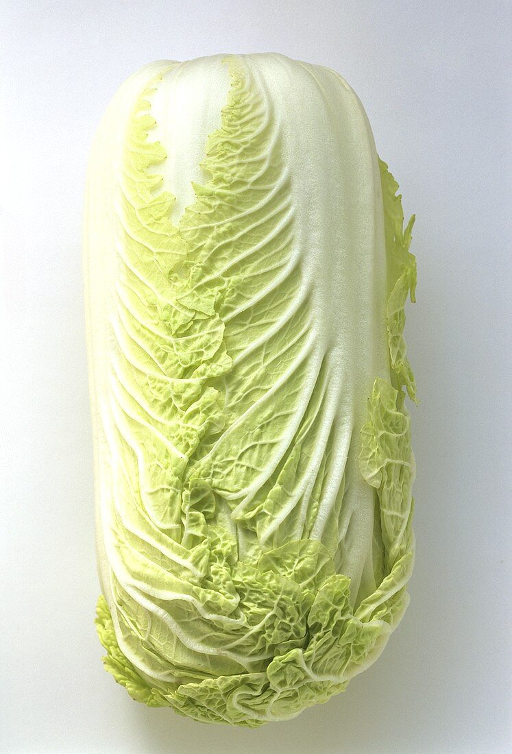 Napa Cabbage