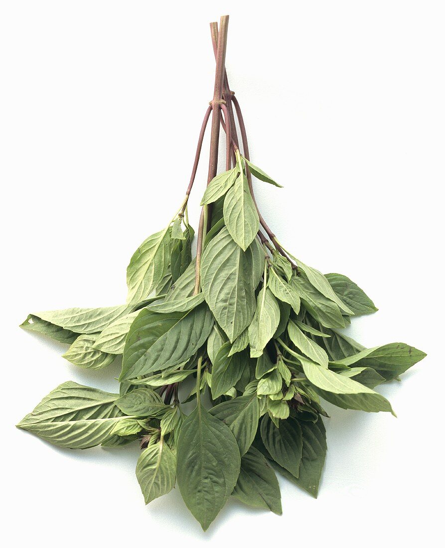 Thai Basil