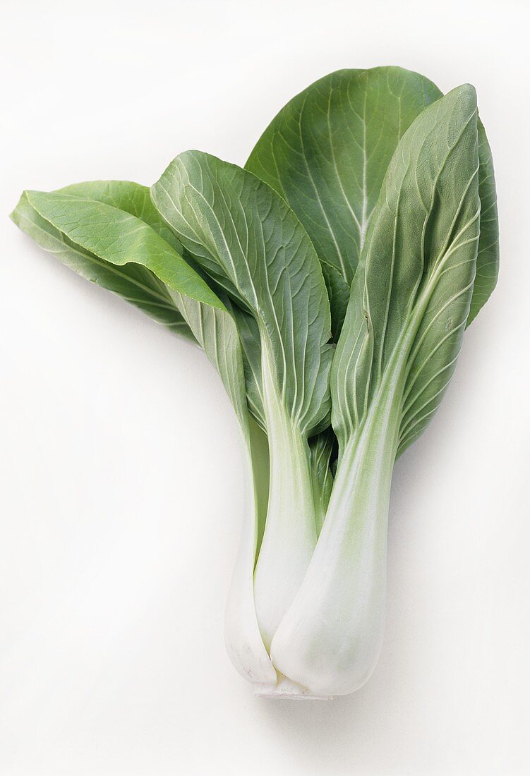 Bok Choy