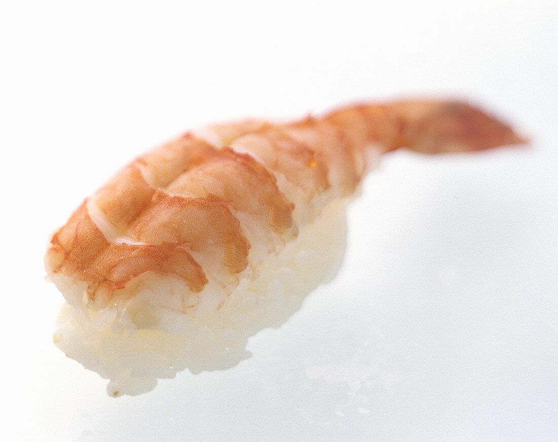 One Shrimp Nigiri Sushi