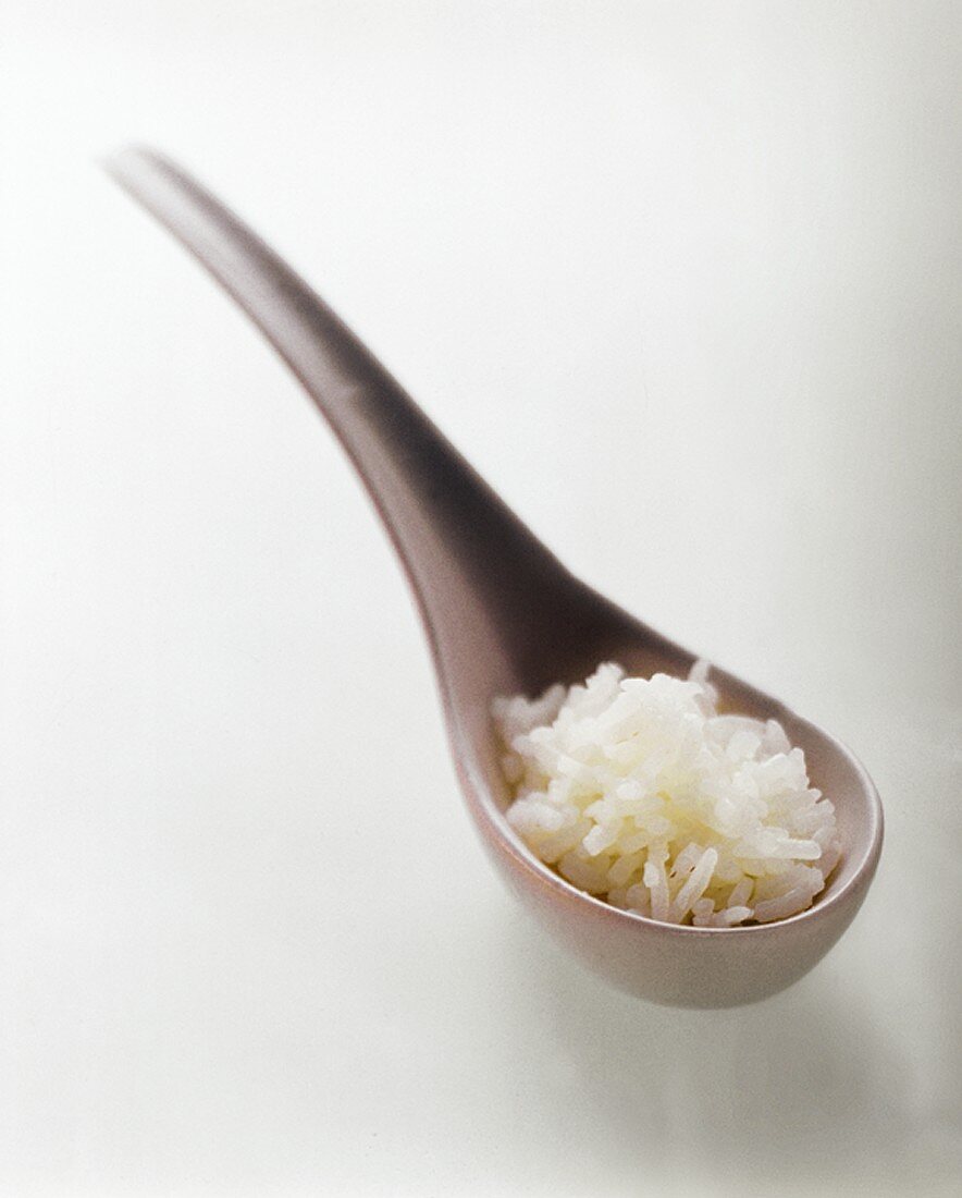 A Spoonful of Cooked White Rice