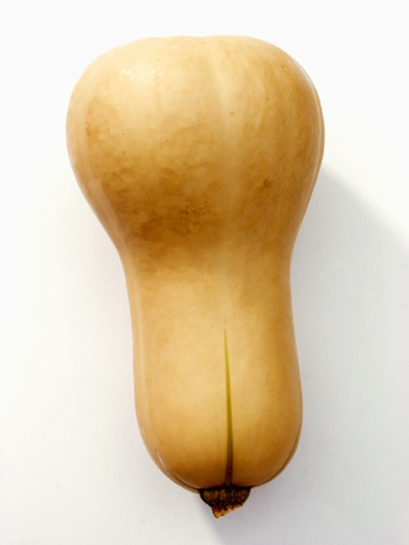 A Butternut Squash