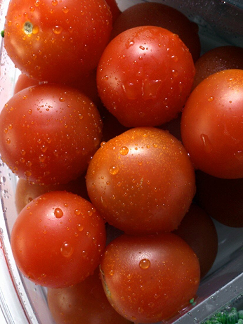 Kirschtomaten mit Wassertropfen in Plastikschale