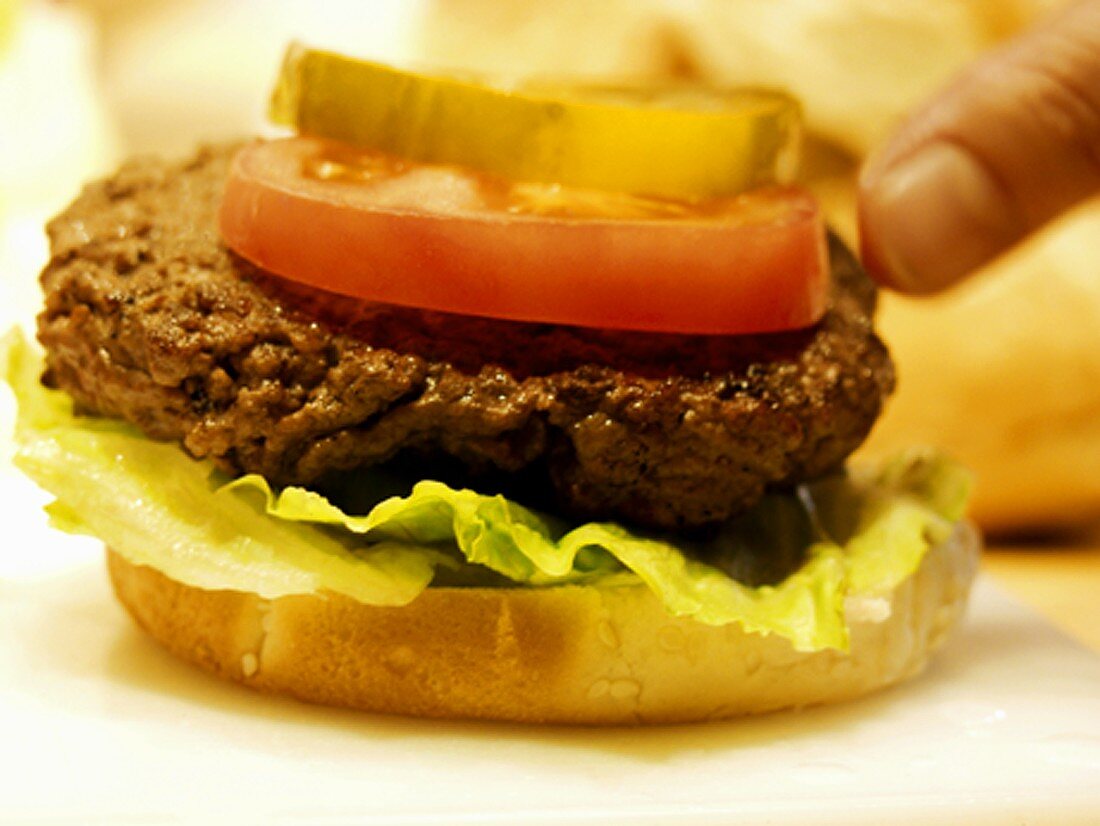 A Hamburger with Lettuce, Tomato and Pickle