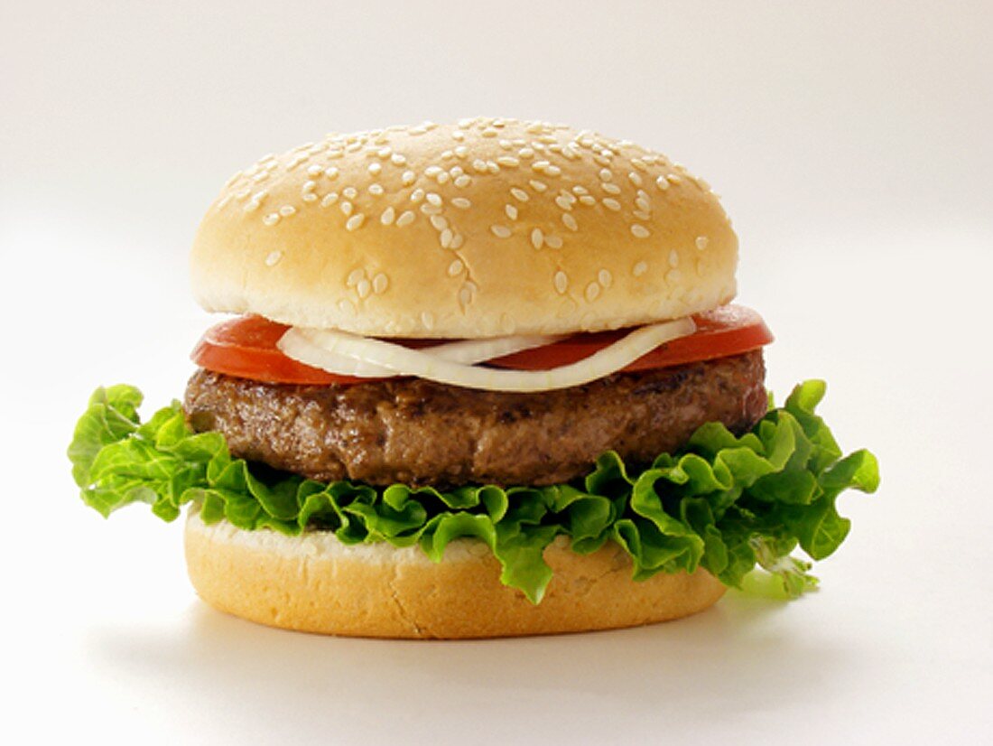 A Hamburger on a Sesame Seed Bun