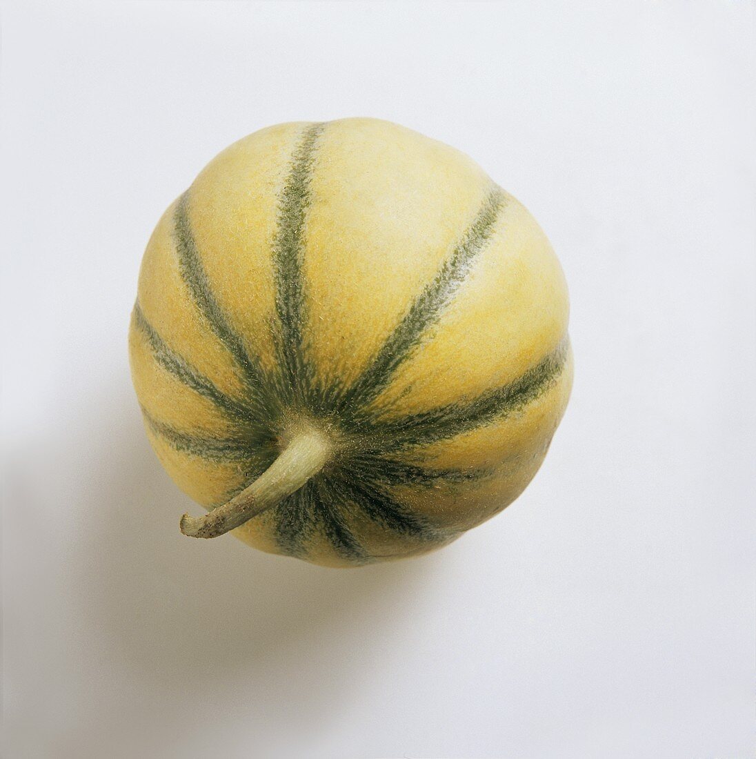Eine Charentais-Melone