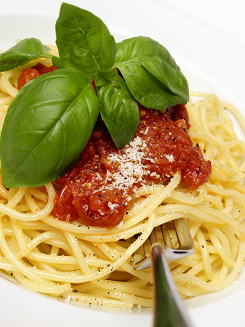 Spaghetti mit Tomatensauce, Basilikum und Parmesan