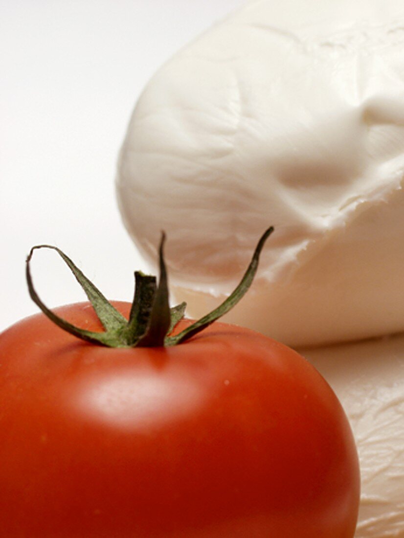 Mozzarella Cheese with a Tomato