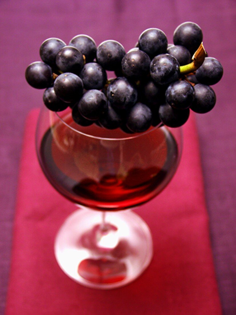 Blaue Trauben auf Glas Rotwein